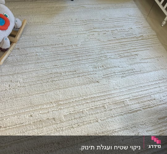 שטיח בהיר נקי בעל טקסטורה הפרוס בחדר בבית הלקוח
